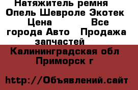 Натяжитель ремня GM Опель,Шевроле Экотек › Цена ­ 1 000 - Все города Авто » Продажа запчастей   . Калининградская обл.,Приморск г.